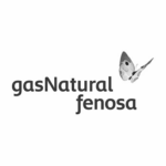 GasNatural