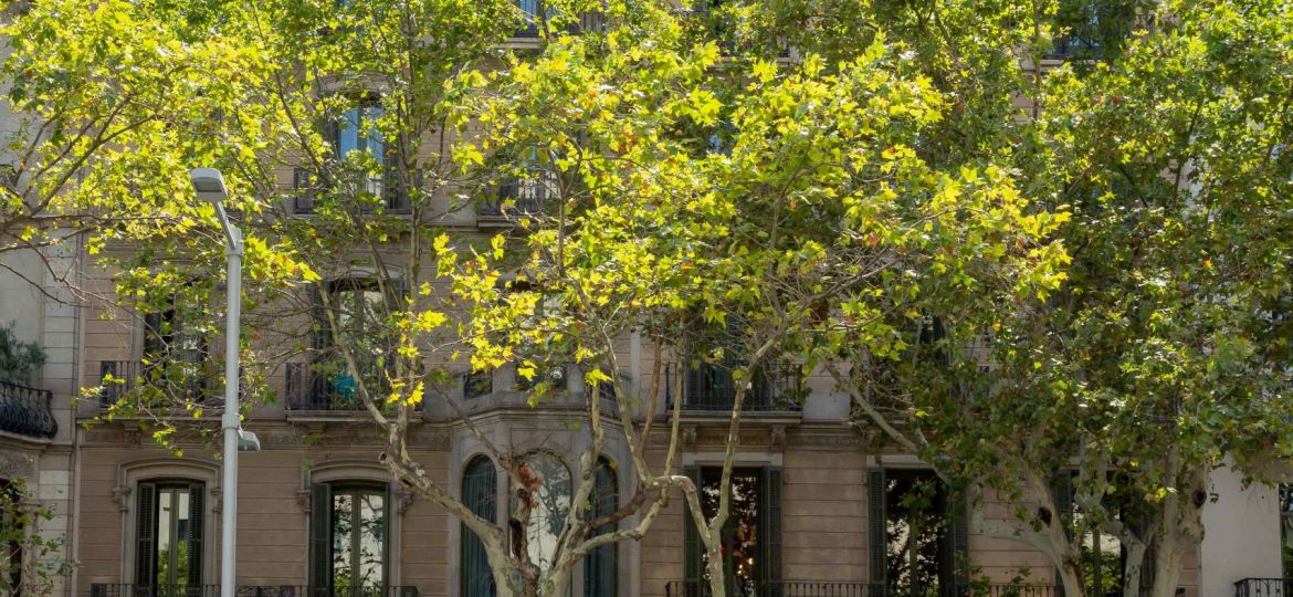 Passeig de Gràcia: architecture, shopping and chic hotels